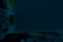 images/giphy.gif