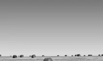 listube_background.jpg