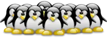 page/image/linux.png
