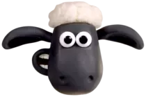 images/STSImage.png