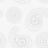 css/paisley.png