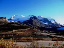 images/background.jpg
