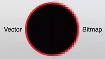 Bitmaps-and-Vector.jpg