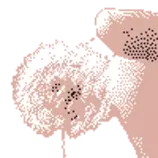 Feeling a Dandelion2.png
