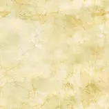 DyD5/Fondos/FondoAmarillo.jpg