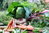 assets/vegetable-basket.jpg