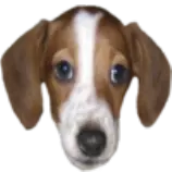 frankerz.png