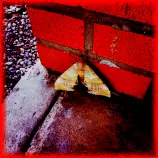 images/moths.jpg