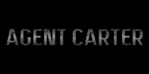 images/oneshotagentcarter.png