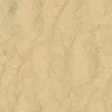 Exam2/images/background.jpg
