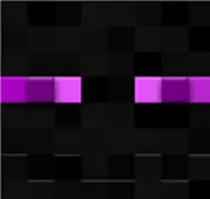 images/enderman.jpg