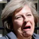 memory_game/imgs/theresa.jpg