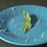 roll.gif