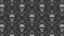 imagenes/skull.jpg