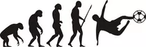 evolucion.jpg