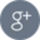 logos/gris/gogle.png