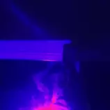 soundscape/assets/purp3.png