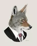 Suited Coyote Cody.jpg