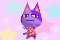images/sean1.jpg