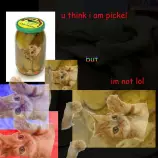 images/sean4.jpg