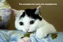 images/snozzberries.jpg