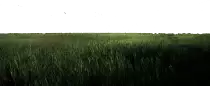 Images/ValleyDay.png