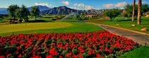 houses/mnt/mountain1.jpg
