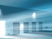images/ditwuit1.gif