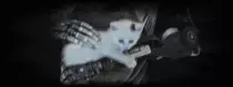 gifs/noize.gif