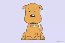 dog.jpg