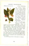 scans/nightshade.png