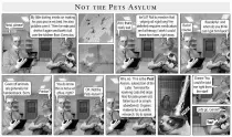 cstrip/csNotThePetsAsylum.jpg