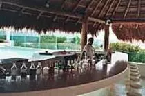 nudetours/images/desire-cancun-jacuzzi-bar.jpg