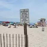 nudetours/images/haulover-beach.jpg