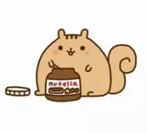 Images/squirrel.jpg