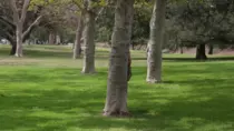 giphy (2).gif