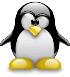 img/pin.png