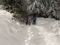 urkobtt/images/salidas/20.jpg