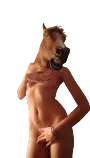 horse mask lady myoc redux exploitable transparent background 1452478551498-0.png