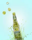 images/portfolio/modals/pic1.jpg