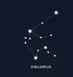 images/acuario.png