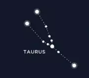 images/taurus.png
