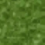 M3O1/images/grass.png