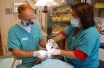 images 6/dentist 220 docs.jpg