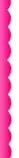 images/corti.png