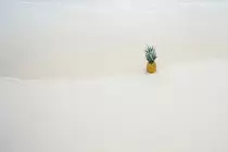 background5.jpg