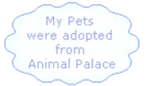 animalpalace/multiple.gif
