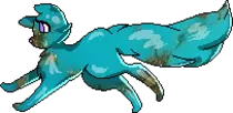 galaxypets/turqoise cat 1.png
