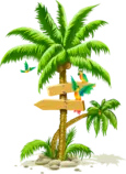 palm_tree.png