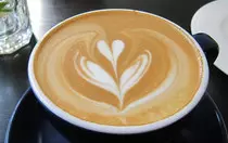 MapDemo/pics/CoffeeFern.jpg